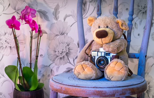 Teddybear for newborn studio