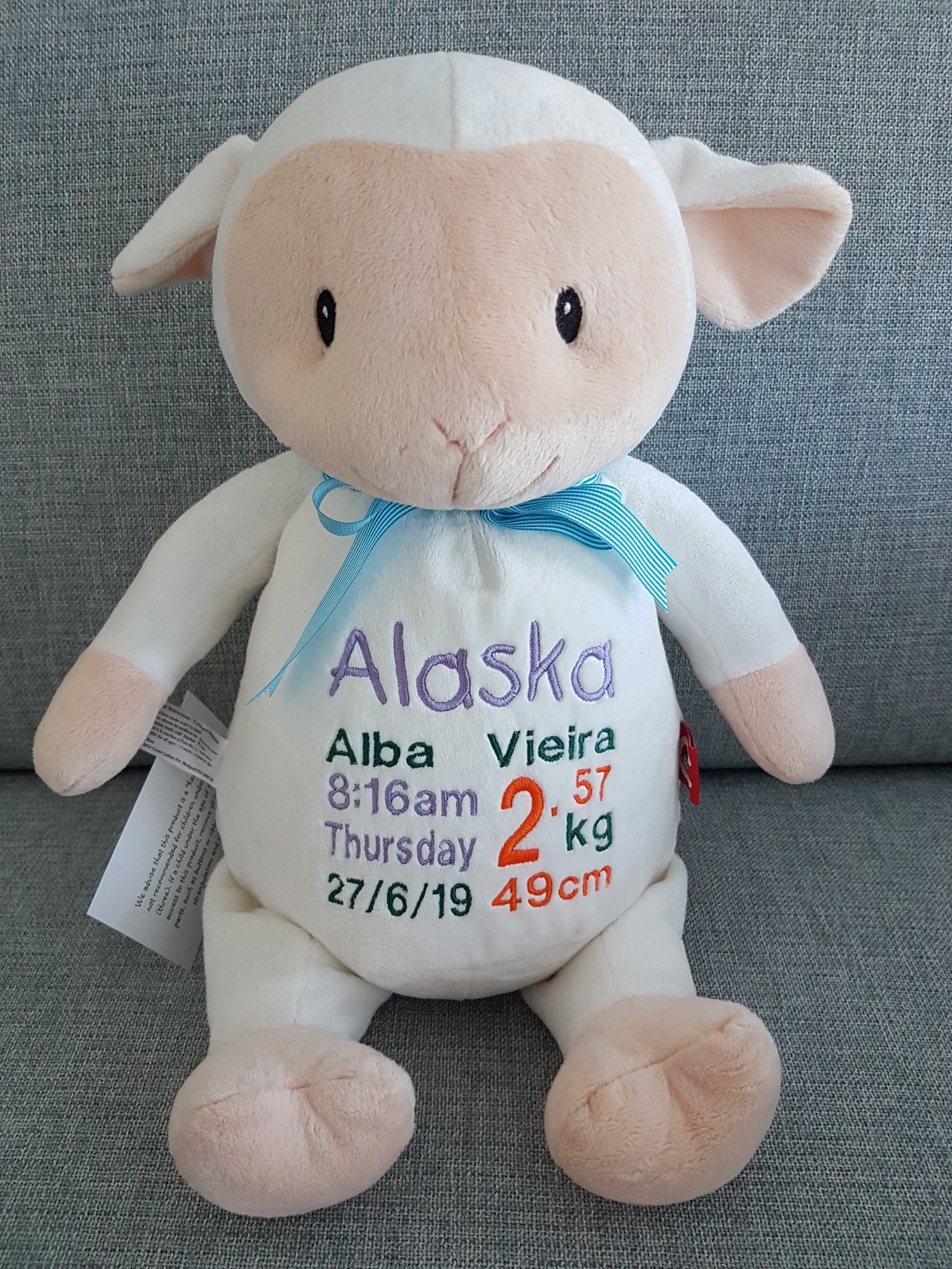 66922605_519172715545271_4216727779439280128_n