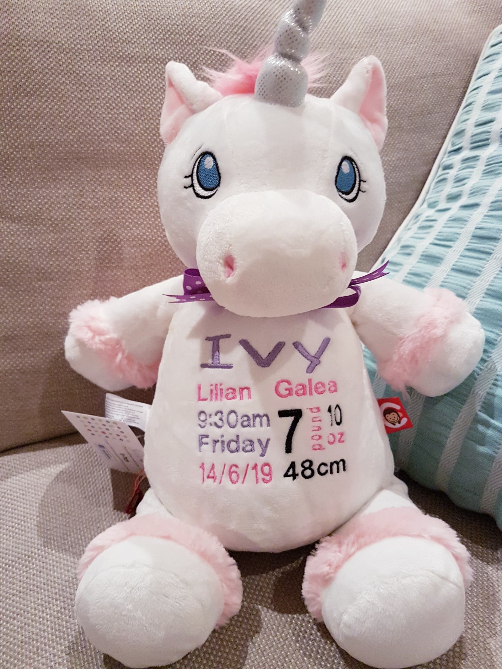 67558096_2245906935739720_169626817072726016_n